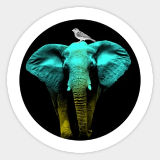 Elephant and a Sparrow Sticker